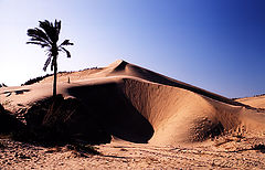 фото "Dunes"