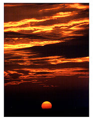 фото "autumn in the sky"