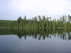 фото "Лесное озеро Финляндии"