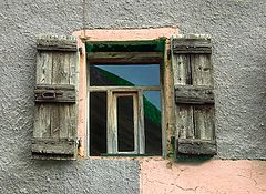photo "Reflections"