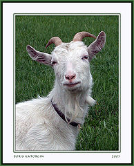 photo "By what not the model?"