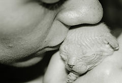 photo "***"