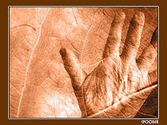 photo "Old age..."