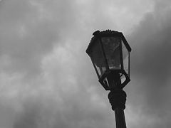 photo "On background of the mood"