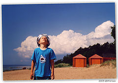 photo "Untitled photo"