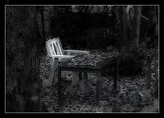 фото "... alone..."