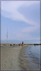 photo "Walking along"