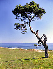 фото "Havang"