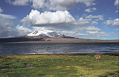 photo "Lauca national park (Chungara lake)"