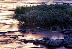 фото "In the evening"