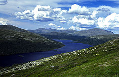 фото "The lake below"