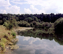 фото "On the River"