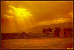 photo "Orange landscape"