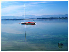 фото "Reflection"