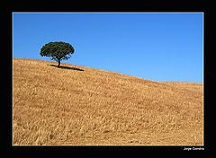 фото "Simple elements"
