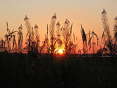 photo "Sunset in Lahta"