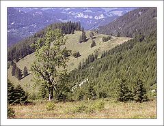 photo "Take Me Higher"