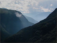 photo "away"