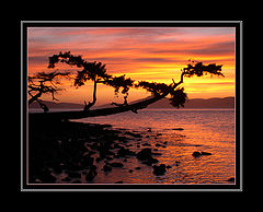 photo "***"
