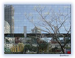 photo "Sampa Mirror"