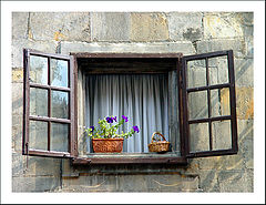 photo "A window"