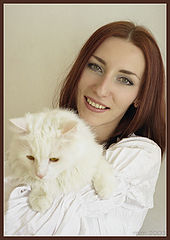 фото "Cats"