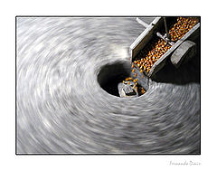 photo "Grinding"