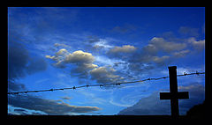 photo "Silent barrier."