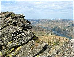 фото "From the top"