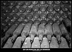 photo "Old bottles in the celler"