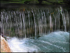 photo "Fall"