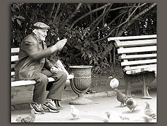 photo "About kindness, pigeons and an old age..."
