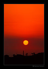 фото "(no title)"