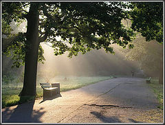 photo "Early walking in August"