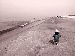 photo "Follow me, mom"