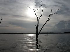фото "Rio Verde 1"