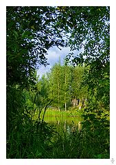 photo "Summer Miniature"