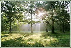 photo "Early walking in August II"