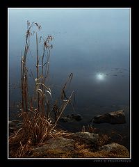 фото "Луна и пруд"
