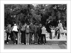 фото "Разные интересы"