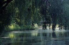 photo "the park"