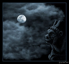 photo "Chimera in moon light"