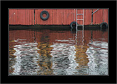 photo "REFLECTION"
