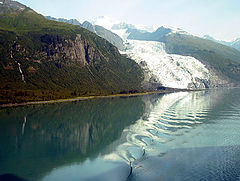 фото "Wild wake"