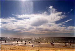 фото "Catching shells"