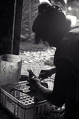 photo "hard work in the country..."