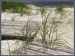 photo "Beach Blues II"