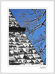 photo "Artefact"