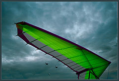photo "Wings"