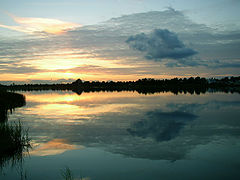фото "Color evening"